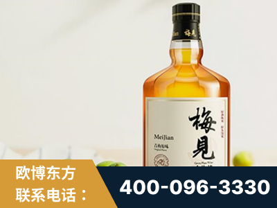 许昌-梅见青梅酒